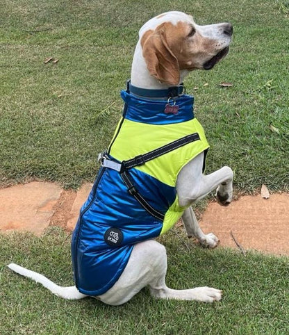 B - Roupinha - Colete Térmico para cachorros